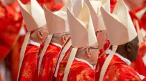 Imagen referencial cardenales. Foto Jeffrey Bruno / ACI Prensa