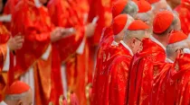 Cardenales en el Vaticano. Foto: Jeffrey Bruno / ACI Prensa
