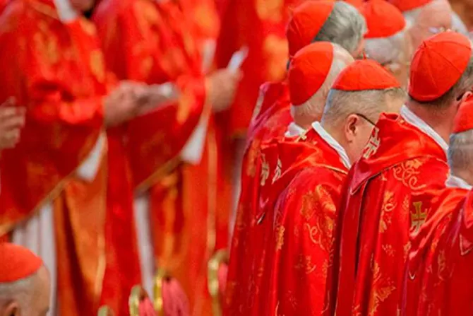 El Papa nombra a los nuevos cardenales miembros de estos dicasterios de la Curia Romana