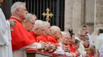 Un grupo de cardenales en el Vaticano. Foto: Daniel Ibáñez (ACI Prensa)