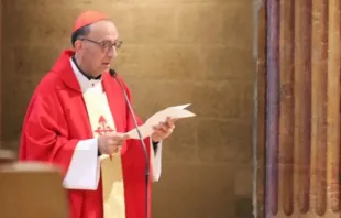 El Arzobispo de Barcelona (España), Cardenal Juan José Omella. Crédito: Conferencia Episcopal Española 