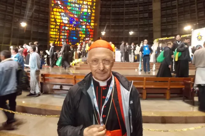 El Papa nos alienta a ser verdaderos pastores, dice Cardenal italiano