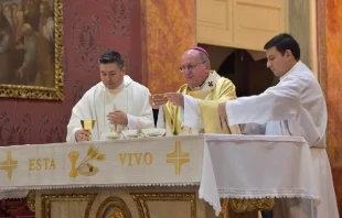 Mons. Cargnello celebrando la Eucaristu00eda. Cru00e9dito: Arzobispado de Salta 