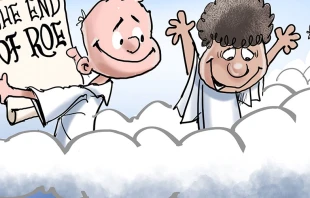 The end of Roe. | Cru00e9dito: Cortesu00eda de Gary Varvel 