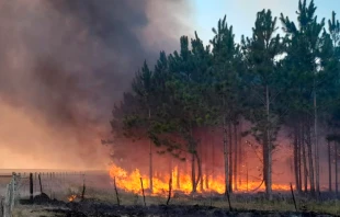 Incendio foresta en la provincia de Corrientes (Argentina) / Cru00e9dito: Cu00e1ritas Argentina 
