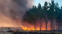 Incendio foresta en la provincia de Corrientes (Argentina) / Crédito: Cáritas Argentina