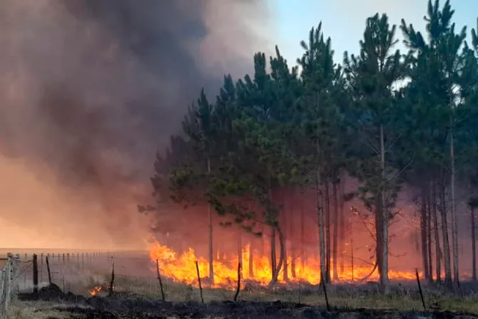 Cáritas solicita ayuda para damnificados por incendios masivos en Argentina