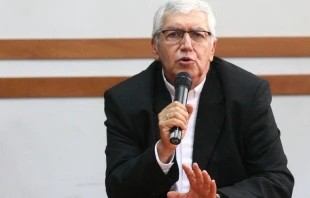 Mons. Carlos Castillo Matttasoglio. Cru00e9dito: ANDINA/Hu00e9ctor Vinces. 