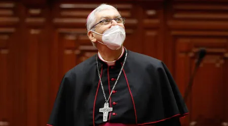 Propuesta de laicos "párrocos" es luterana y no católica, dice experto