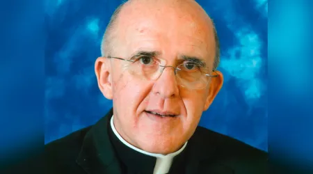 Mons. Carlos Osoro: "No me gustaría hacer apostolado desde el salón"
