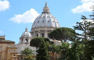 Casina Pu00edo IV, sede de la Pontificia Academia de las Ciencias. Foto: Alexey Gotovsky / ACI Prensa 