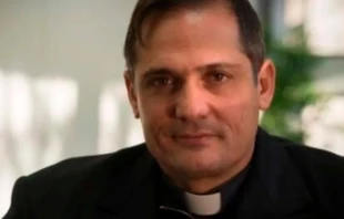 P. Castor u00c1lvarez Devesa. Cru00e9dito: Archivo 