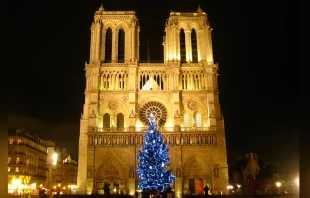 Catedral de Notre Dame en Navidad / Foto: Flickr Groume (CC-BY-SA-2.0) 