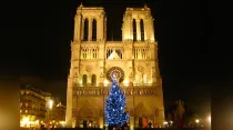 Catedral de Notre Dame en Navidad / Foto: Flickr Groume (CC-BY-SA-2.0)