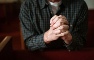 Imagen referencial / Cru00e9dito: Unsplash  