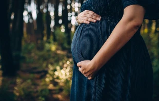 Imagen referencial / Cru00e9dito: Pexels 