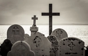 Imagen referencial. Cru00e9dito: JF Martin / Unsplash. 