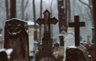 Imagen referencial. Cru00e9dito: Pexels 