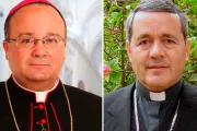 Enviado del Papa Francisco a Chile escuchará acusaciones contra Obispo Barros [ACTUALIZADO]