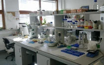 Imagen referencial. Foto: Zuzanna K. Filutowska (CC BY-SA 3.0)