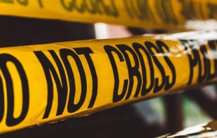 Imagen referencial. Cru00e9dito: David von Diemar / Unsplash. 