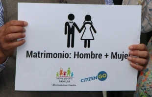 Campau00f1a CitizenGO junto al Frente Nacional por la Familia en Mu00e9xico. Cru00e9dito: HazteOu00edr. 