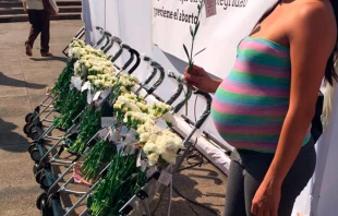 Foto: Manifestaciu00f3n con claveles / Cru00e9dito: Fundaciu00f3n Chile Unido 