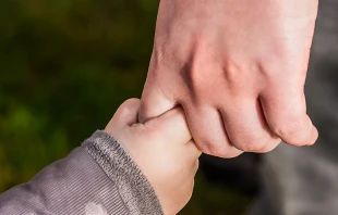 Imagen referencial | Cru00e9dito: Pexels 