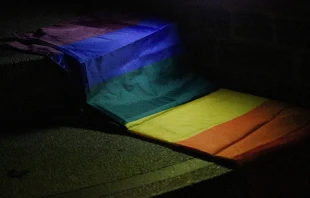 Imagen referencial | Cru00e9dito: Pexels 