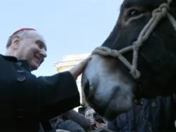 Cardenal Comastri bendice a un burro en la Plaza de San Pedro (foto ACI Prensa)?w=200&h=150