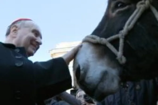 Celebran a San Antonio Abad con bendición de animales en el Vaticano