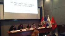 Panel de XII Reunión del MESECVI con representantes de ONGs promotoras del aborto en Lima (Perú).