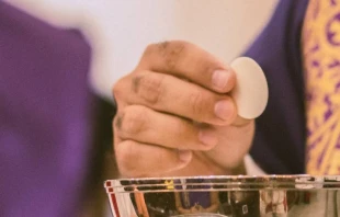 Imagen referencial. Cru00e9dito: Thays Orrico / Unsplash. 