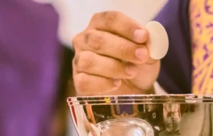 Imagen referencial. Cru00e9dito: Thays Orrico (Unsplash) 