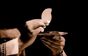 Imagen referencial. Foto: Pixabay (Dominio Pu00fablico) 