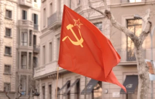 Imagen referencial / Cru00e9dito: Flickr de martathegoodone tion-NoDerivs 2.0 Generic (CC BY-ND 2.0) 