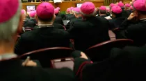 Obispos (imagen referencial) / Foto: Daniel Ibáñez (ACI Prensa)