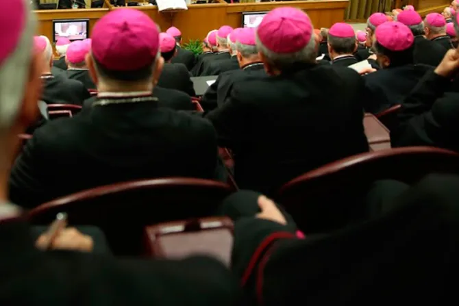 Santa Sede publica cuarta lista de miembros para el Sínodo de la Familia