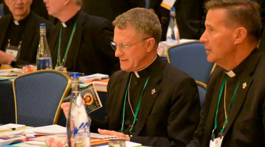 Obispos en la Conferencia de Obispos Católicos de Estados Unidos 2019 en Baltimore. Foto: Matt Hadro / ACI Prensa?w=200&h=150