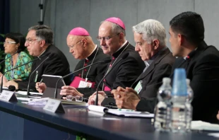 Algunos participantes del Su00ednodo en rueda de prensa en la Sala Stampa del Vaticano. Foto Daniel Ibu00e1u00f1ez / ACI Prensa 