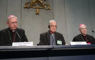 Foto: Daniel Ibu00e1u00f1ez / ACI Prensa 