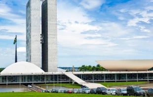 Congreso Nacional de Brasil. Cru00e9dito: Shutterstock 