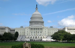 Capitolio de los Estados Unidos / Cru00e9dito: Flickr de Wally Gobetz (CC BY-NC-ND 2.0) 