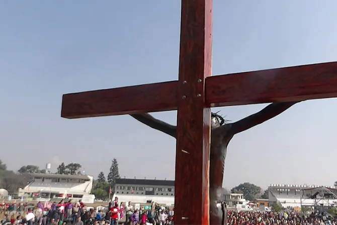  VIDEO: No tengan miedo de manifestar su fe, alienta Cardenal Re a argentinos