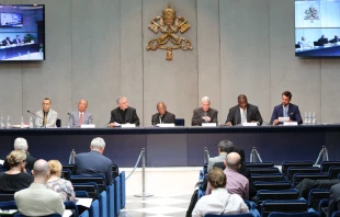 Presentaciu00f3n del Congreso sobre la lepra. Foto: Daniel Ibu00e1u00f1ez / ACI Prensa 