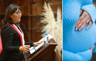 Congresista Milagros Ju00e1uregui de Aguayo / Cru00e9dito: Congreso de la Repu00fablica y Usplash  