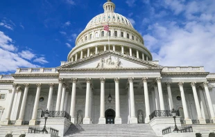 Congreso de Estados Unidos en Washington DC | Cru00e9dito: Foto de Louis Velazquez en Unsplash 