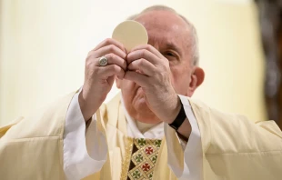 El Papa Francisco en una imagen de archivo. Foto: Vatican Media 