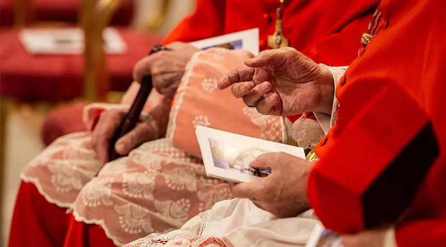 Consistorio para la creación de nuevos cardenales de octubre del 2019. Foto: Daniel Ibáñez / ACI Prensa