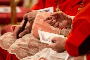 Cardenal Marx expone al Consejo de Cardenales los temas del sínodo alemán
